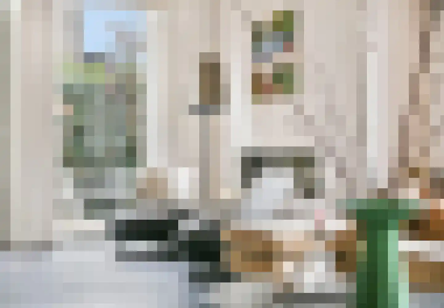 Schoklandstraat 51 Amersfoort thumbnail 4