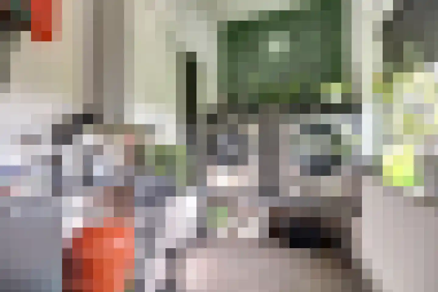 Schoklandstraat 58 Hoogeveen thumbnail 35