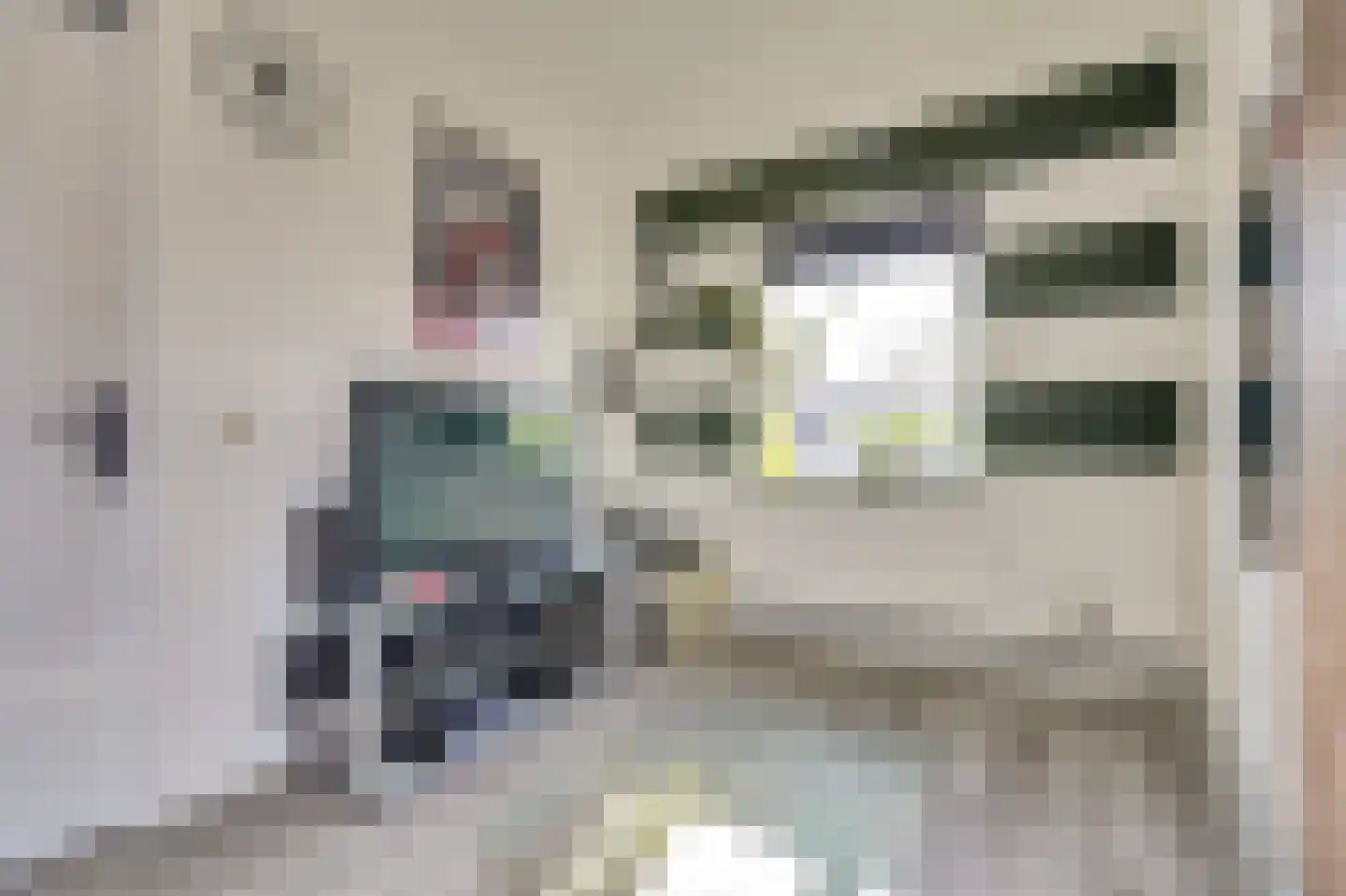 Schoklandstraat 58 Hoogeveen thumbnail 37