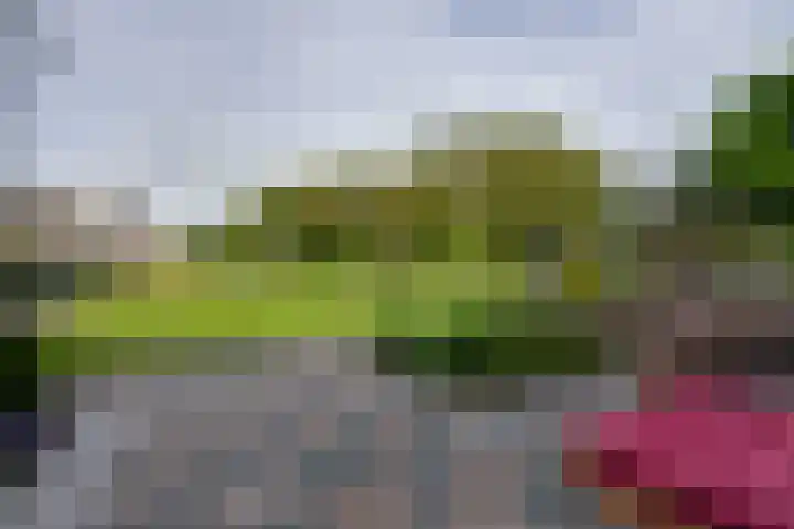 Schoklandstraat 67 Volendam thumbnail 5