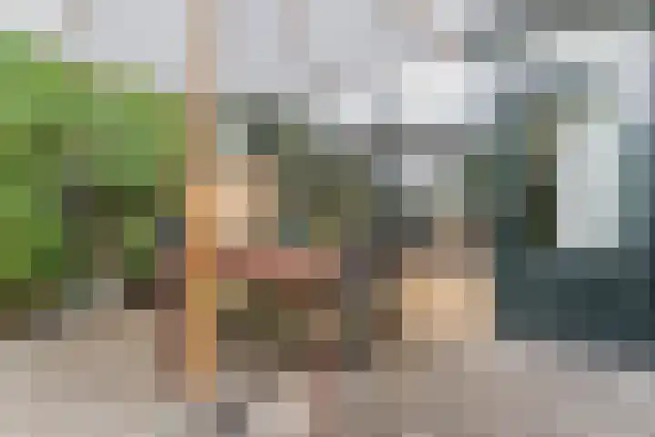 Schoklandstraat 7 Alkmaar thumbnail 32