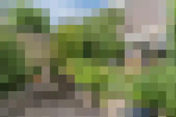 Schoklandstraat 7 Alkmaar thumbnail 4