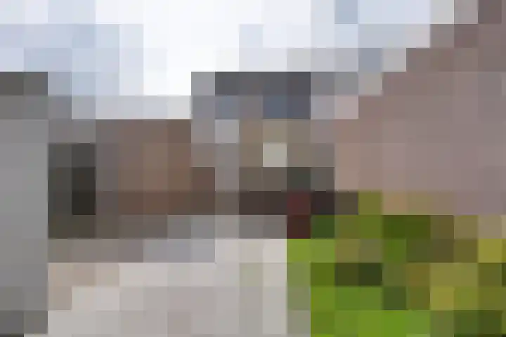 Schoklandstraat 80 Volendam thumbnail 25