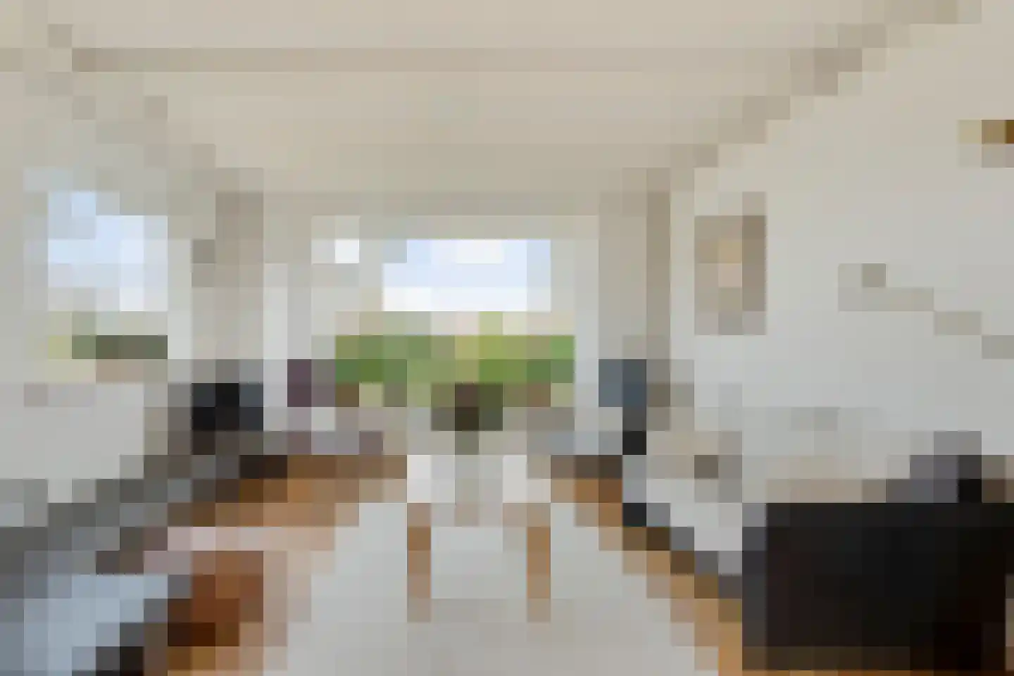 Scholbergstraat 4 Rijsbergen thumbnail 10