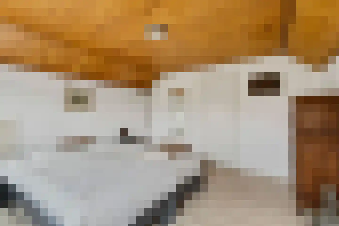 Scholbergstraat 4 Rijsbergen thumbnail 24