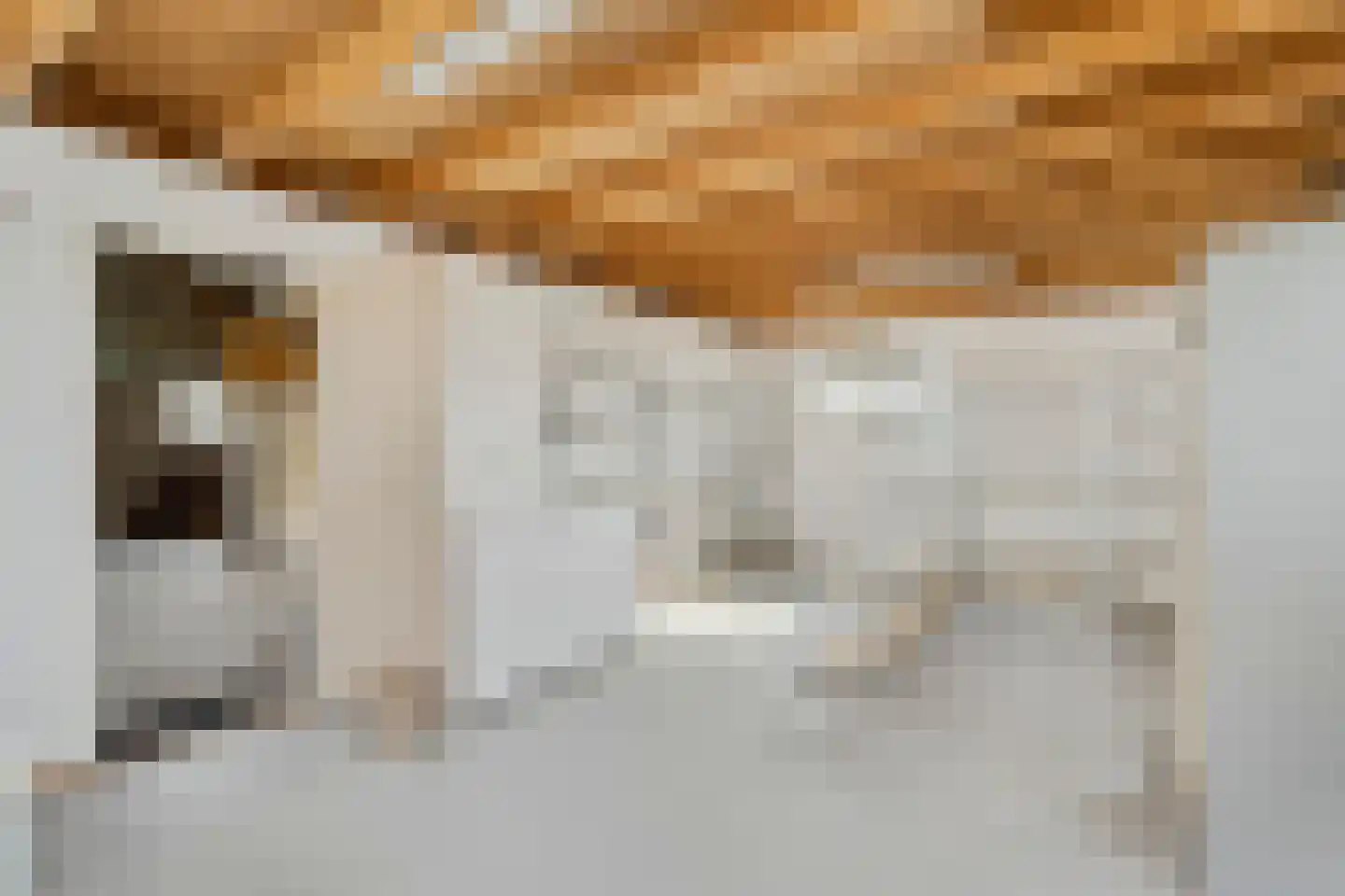 Scholbergstraat 4 Rijsbergen thumbnail 27