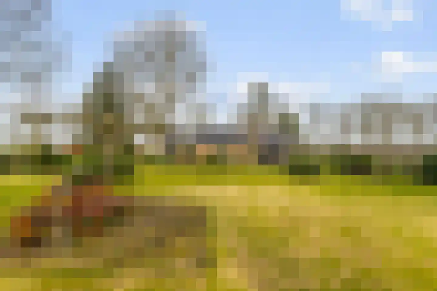 Scholbergstraat 4 Rijsbergen thumbnail 32
