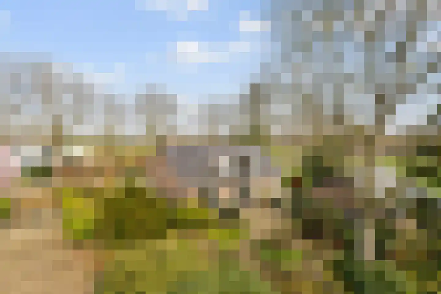 Scholbergstraat 4 Rijsbergen thumbnail 4