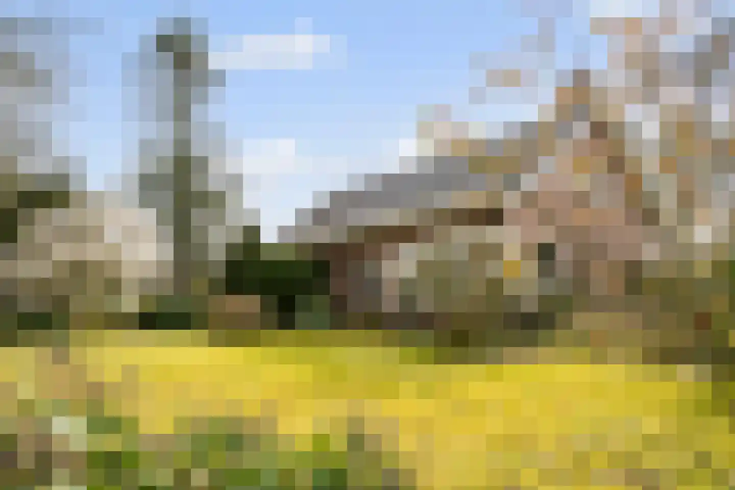 Scholbergstraat 4 Rijsbergen thumbnail 8