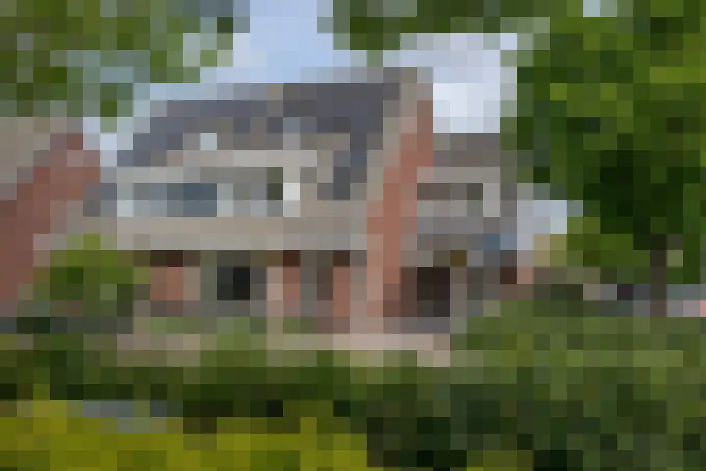 Scholekster 1 in Leimuiden