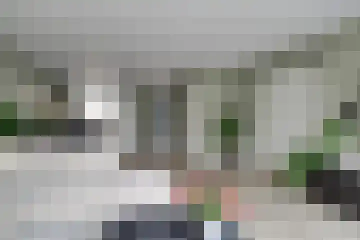 Scholekster 1 Hoogkarspel thumbnail 10