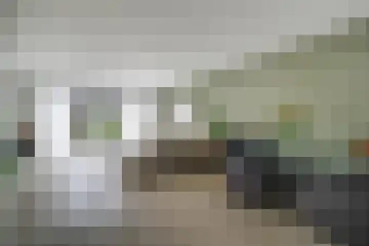 Scholekster 1 Hoogkarspel thumbnail 11