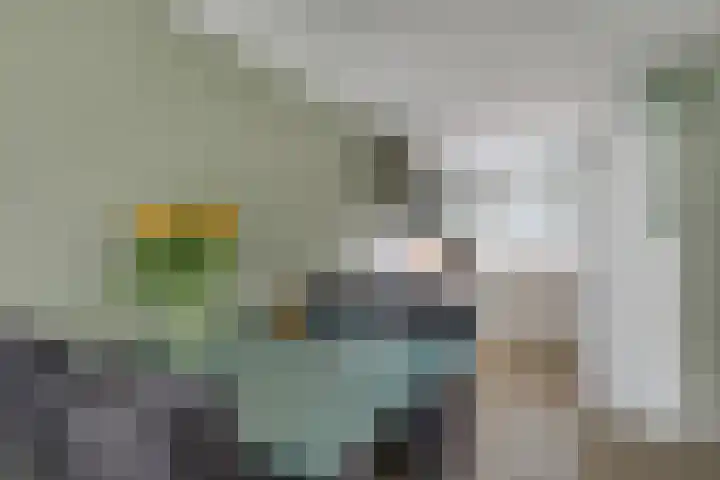 Scholekster 1 Hoogkarspel thumbnail 12