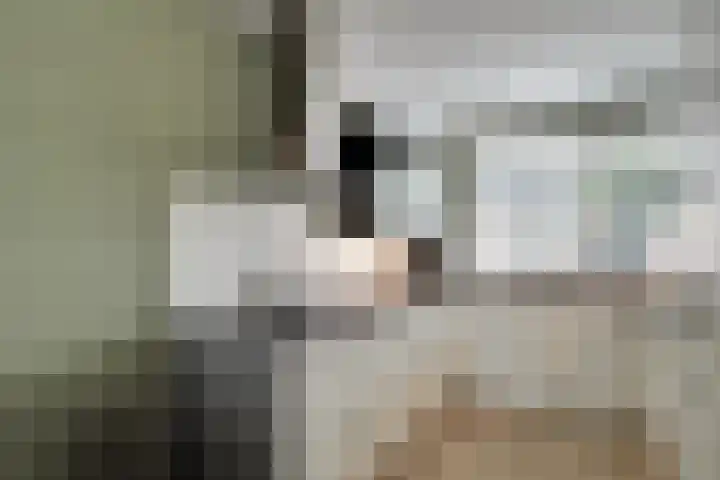 Scholekster 1 Hoogkarspel thumbnail 13