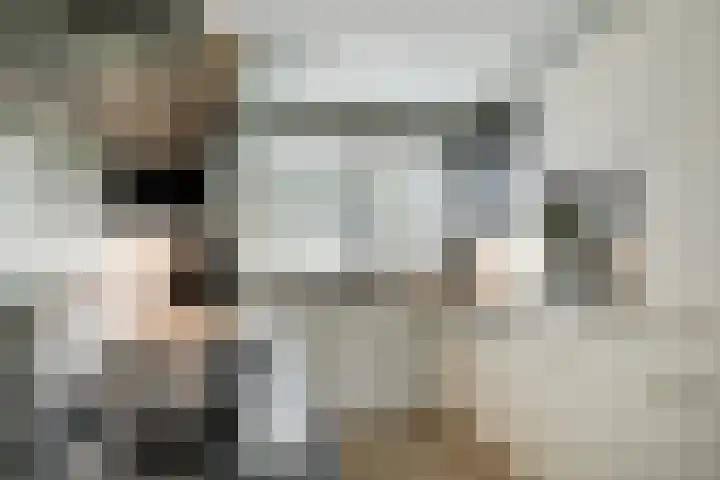 Scholekster 1 Hoogkarspel thumbnail 14