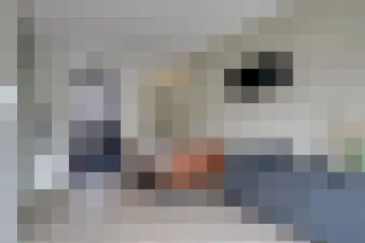 Scholekster 1 Hoogkarspel thumbnail 15