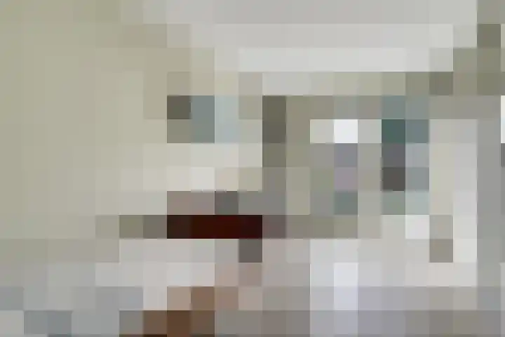 Scholekster 1 Hoogkarspel thumbnail 17