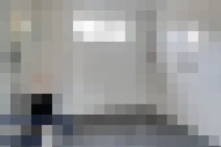 Scholekster 1 Hoogkarspel thumbnail 18