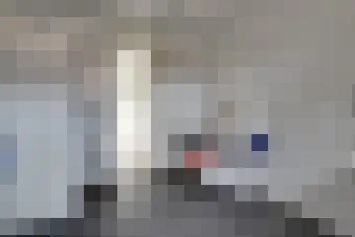 Scholekster 1 Hoogkarspel thumbnail 19