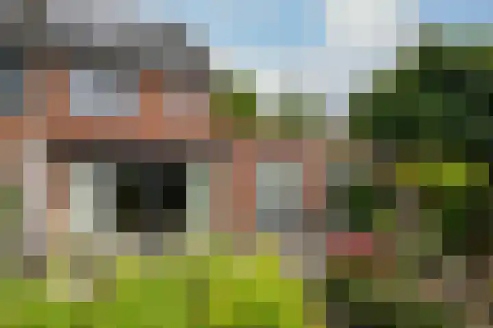 Scholekster 1 Hoogkarspel foto 2