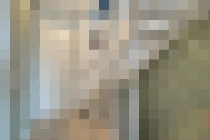 Scholekster 1 Hoogkarspel thumbnail 20