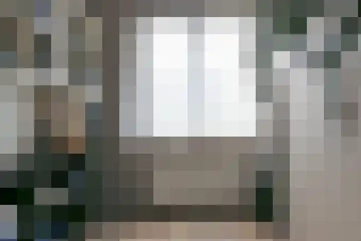 Scholekster 1 Hoogkarspel thumbnail 21