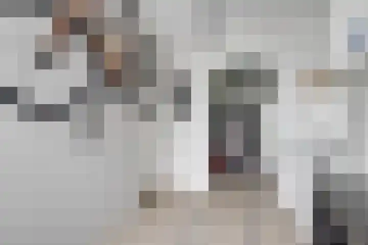 Scholekster 1 Hoogkarspel thumbnail 22