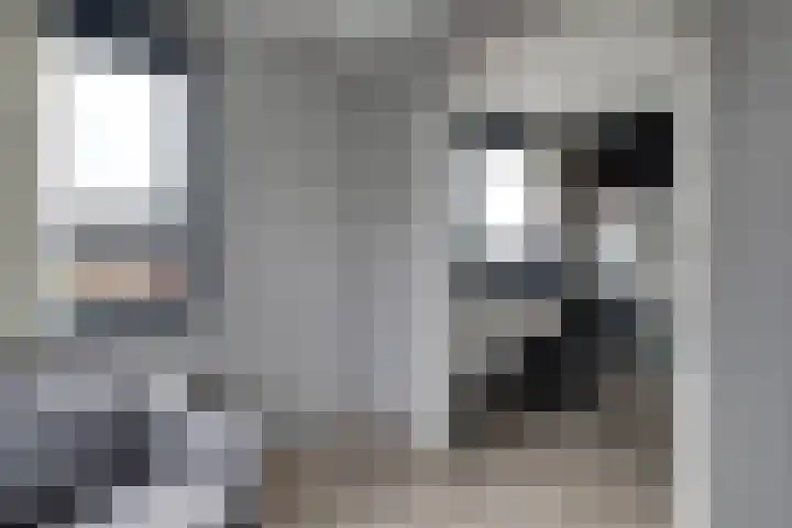 Scholekster 1 Hoogkarspel thumbnail 23