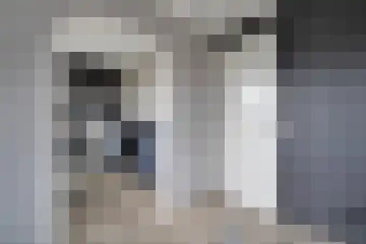 Scholekster 1 Hoogkarspel thumbnail 24