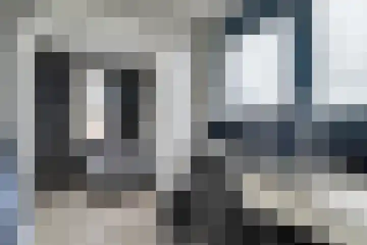 Scholekster 1 Hoogkarspel thumbnail 25
