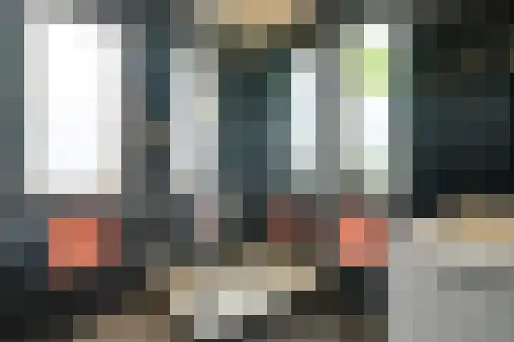 Scholekster 1 Hoogkarspel thumbnail 26