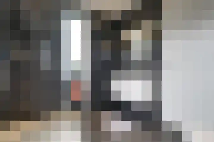 Scholekster 1 Hoogkarspel thumbnail 27