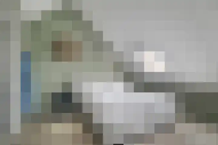 Scholekster 1 Hoogkarspel thumbnail 29