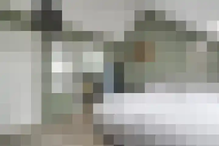 Scholekster 1 Hoogkarspel thumbnail 30
