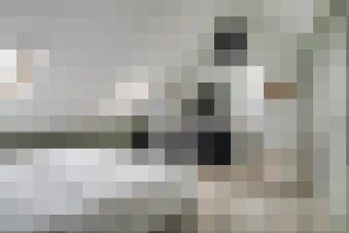 Scholekster 1 Hoogkarspel thumbnail 31