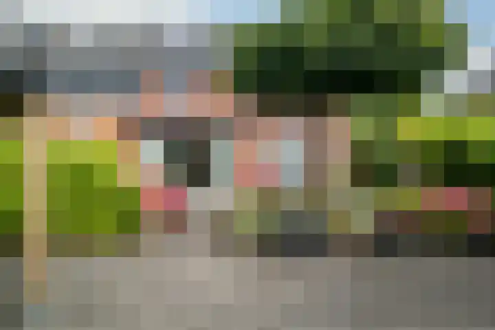 Scholekster 1 Hoogkarspel thumbnail 32