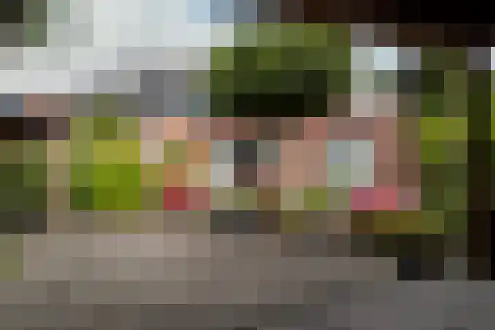 Scholekster 1 Hoogkarspel thumbnail 33