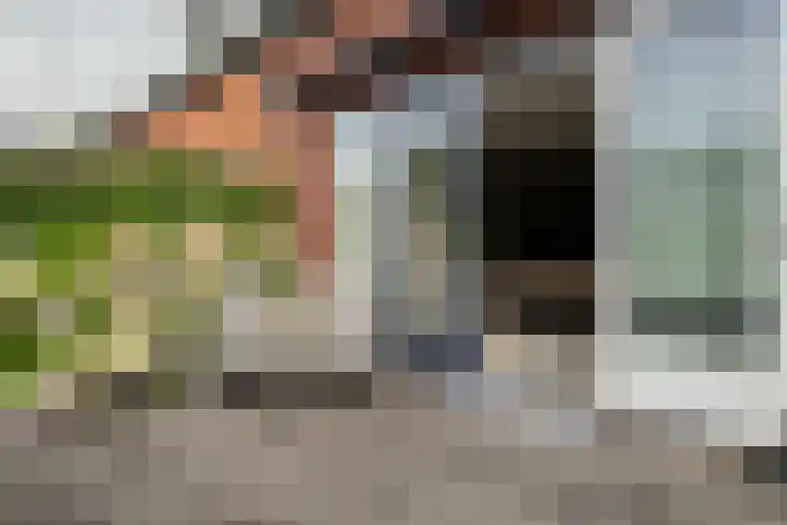 Scholekster 1 Hoogkarspel thumbnail 34