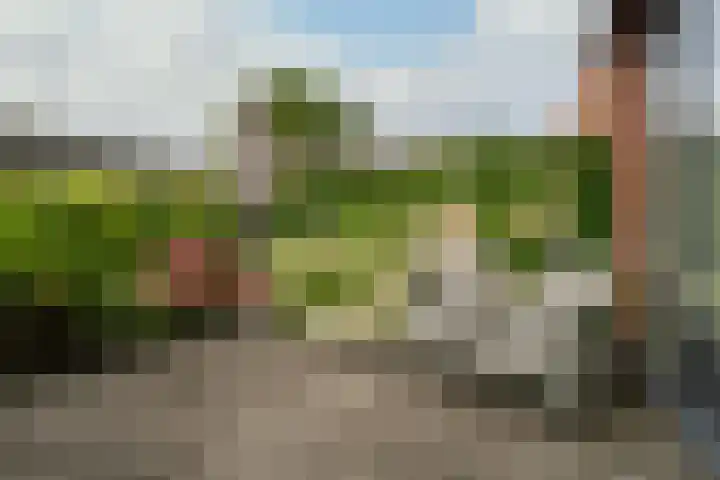 Scholekster 1 Hoogkarspel thumbnail 35