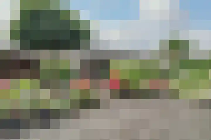 Scholekster 1 Hoogkarspel thumbnail 36