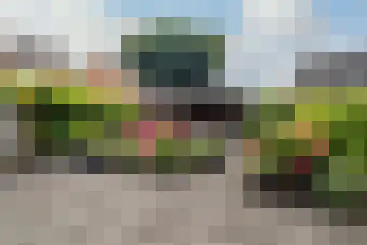 Scholekster 1 Hoogkarspel thumbnail 37