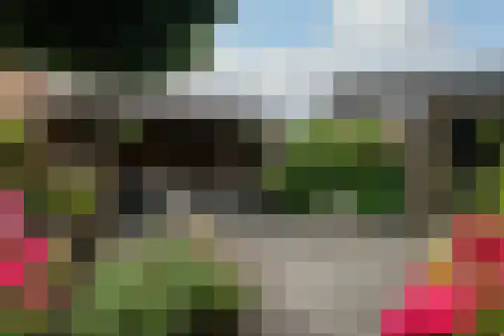 Scholekster 1 Hoogkarspel thumbnail 38