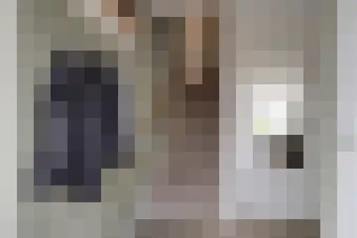 Scholekster 1 Hoogkarspel thumbnail 4