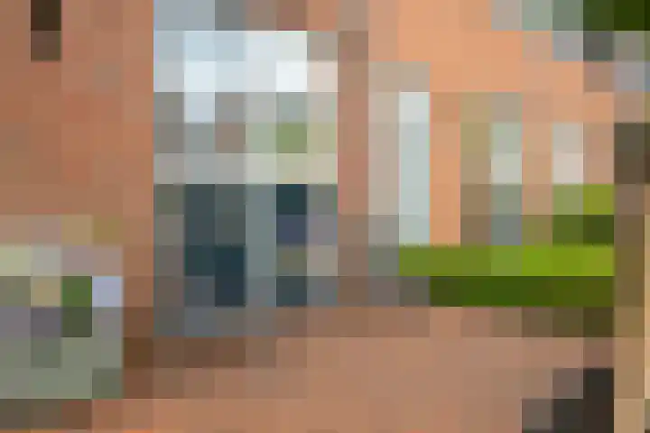 Scholekster 1 Hoogkarspel thumbnail 40