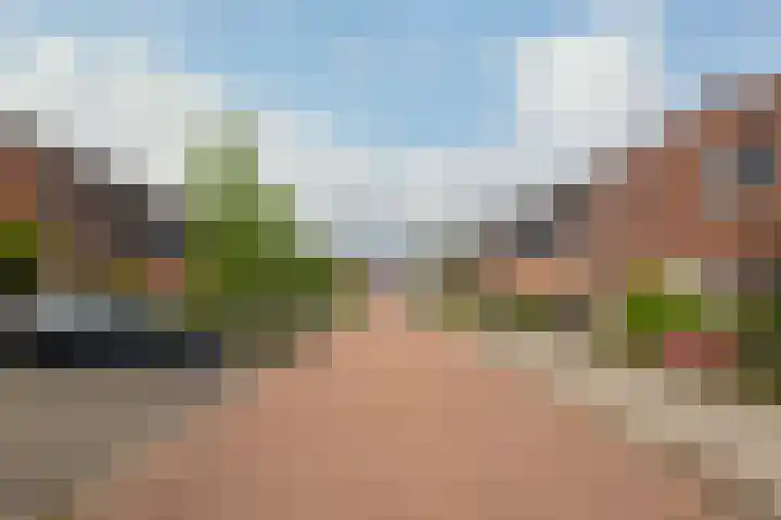 Scholekster 1 Hoogkarspel thumbnail 41