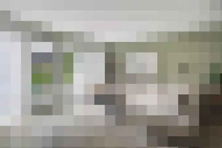 Scholekster 1 Hoogkarspel thumbnail 5