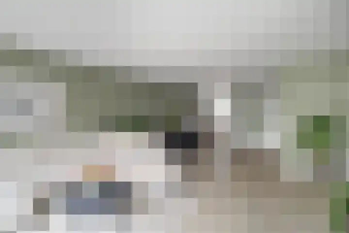 Scholekster 1 Hoogkarspel thumbnail 6