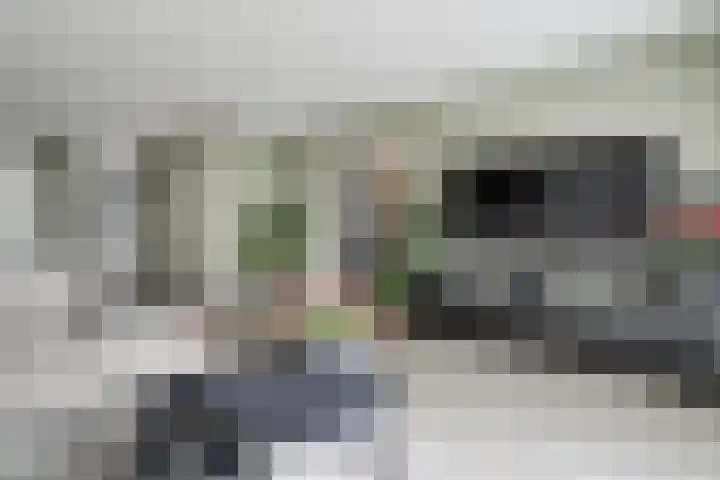 Scholekster 1 Hoogkarspel thumbnail 7