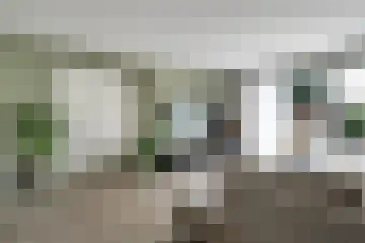 Scholekster 1 Hoogkarspel thumbnail 8