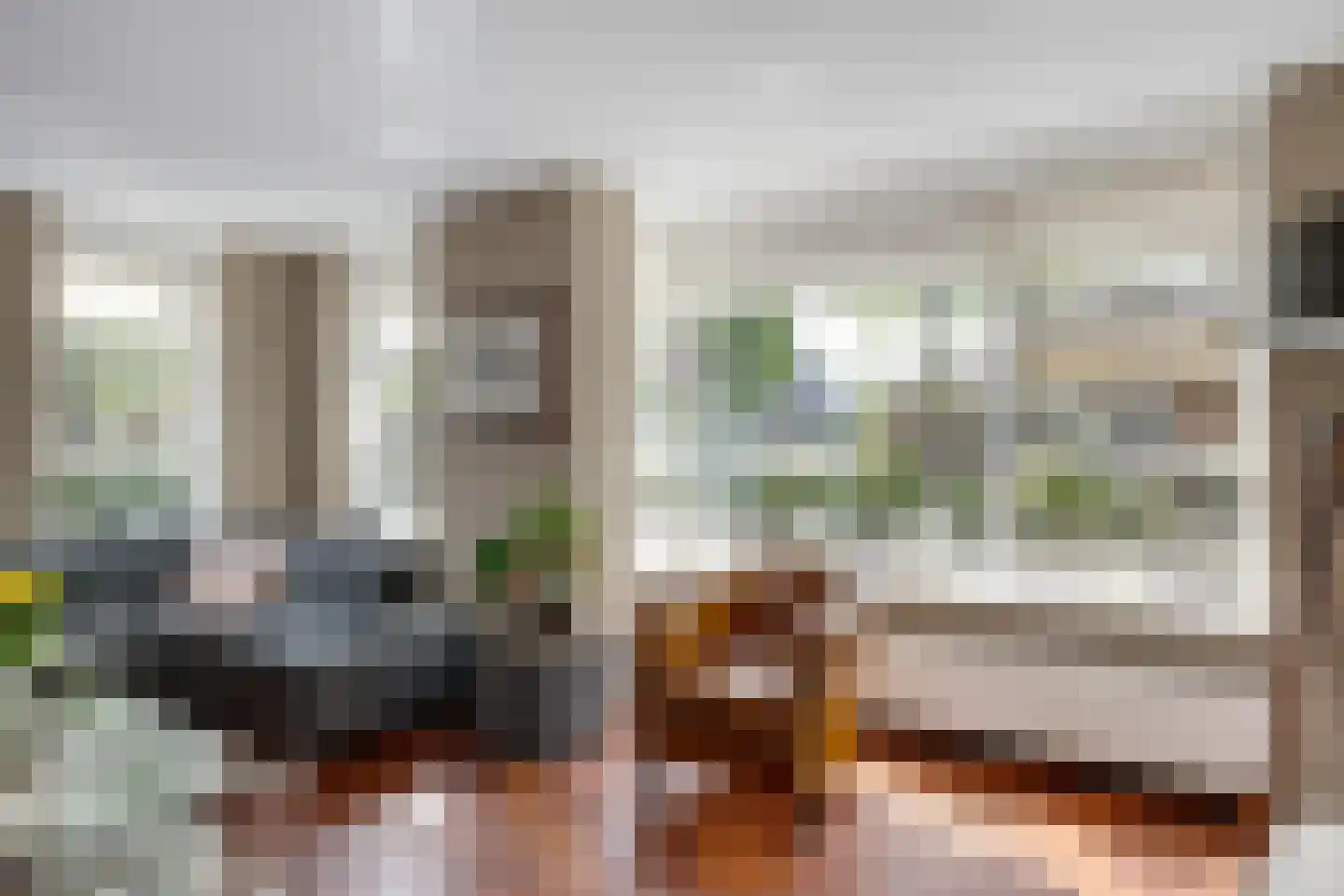 Scholekster 1 Leimuiden thumbnail 10